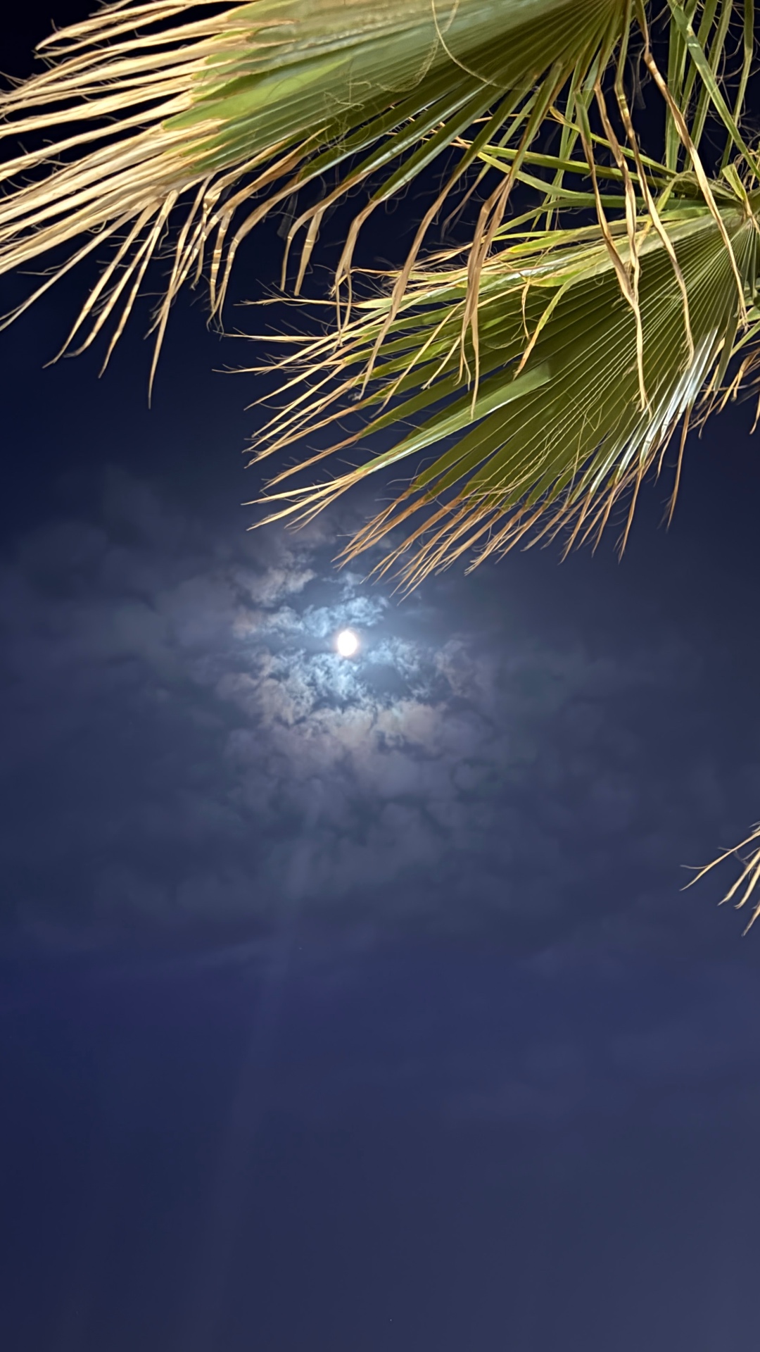 San Juan, solbrent rygg og en tur tilbake til Norge 🌞