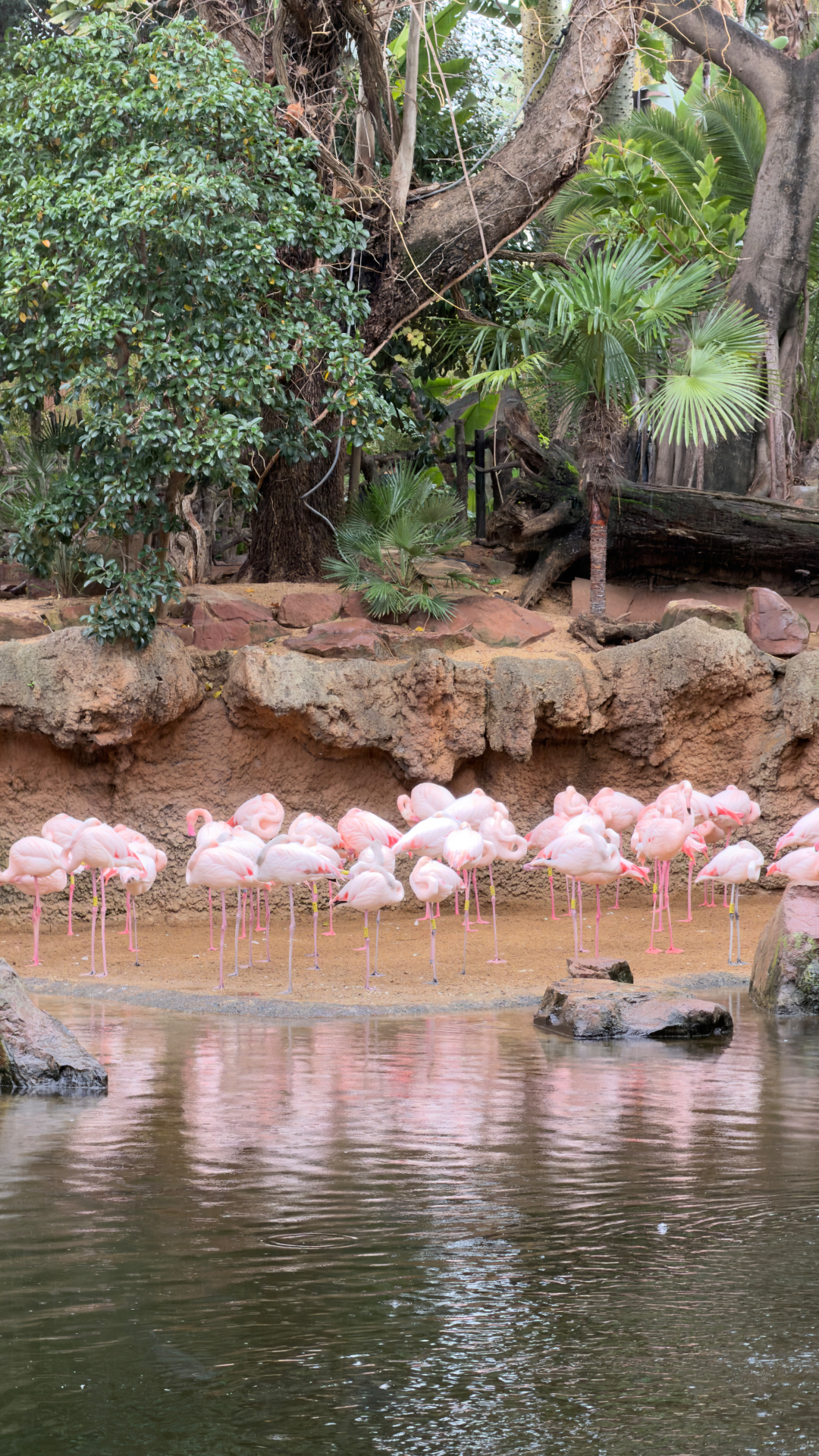 Bioparc Fuengirola
