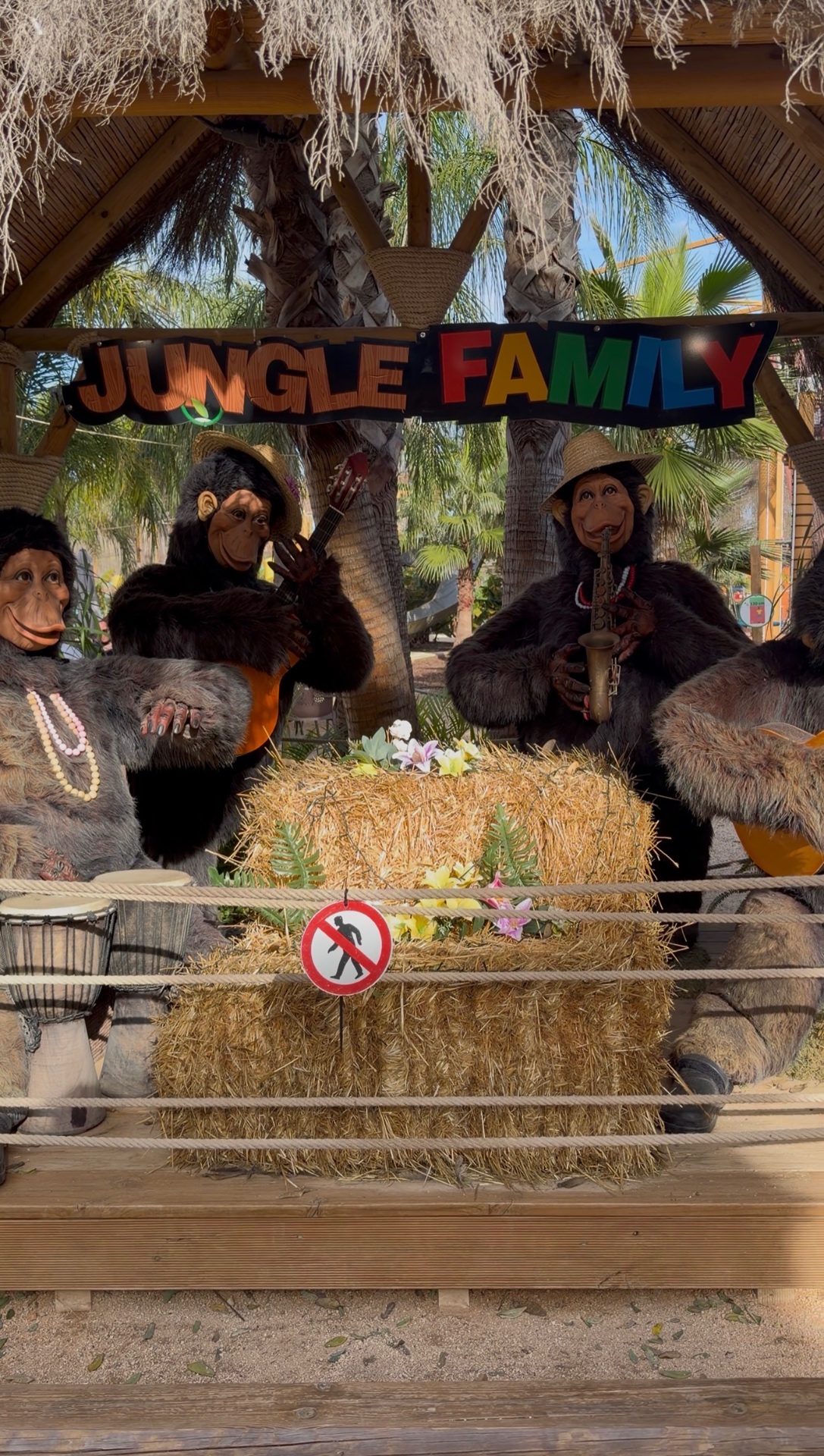 Jungle Family ved Plaza Mayor