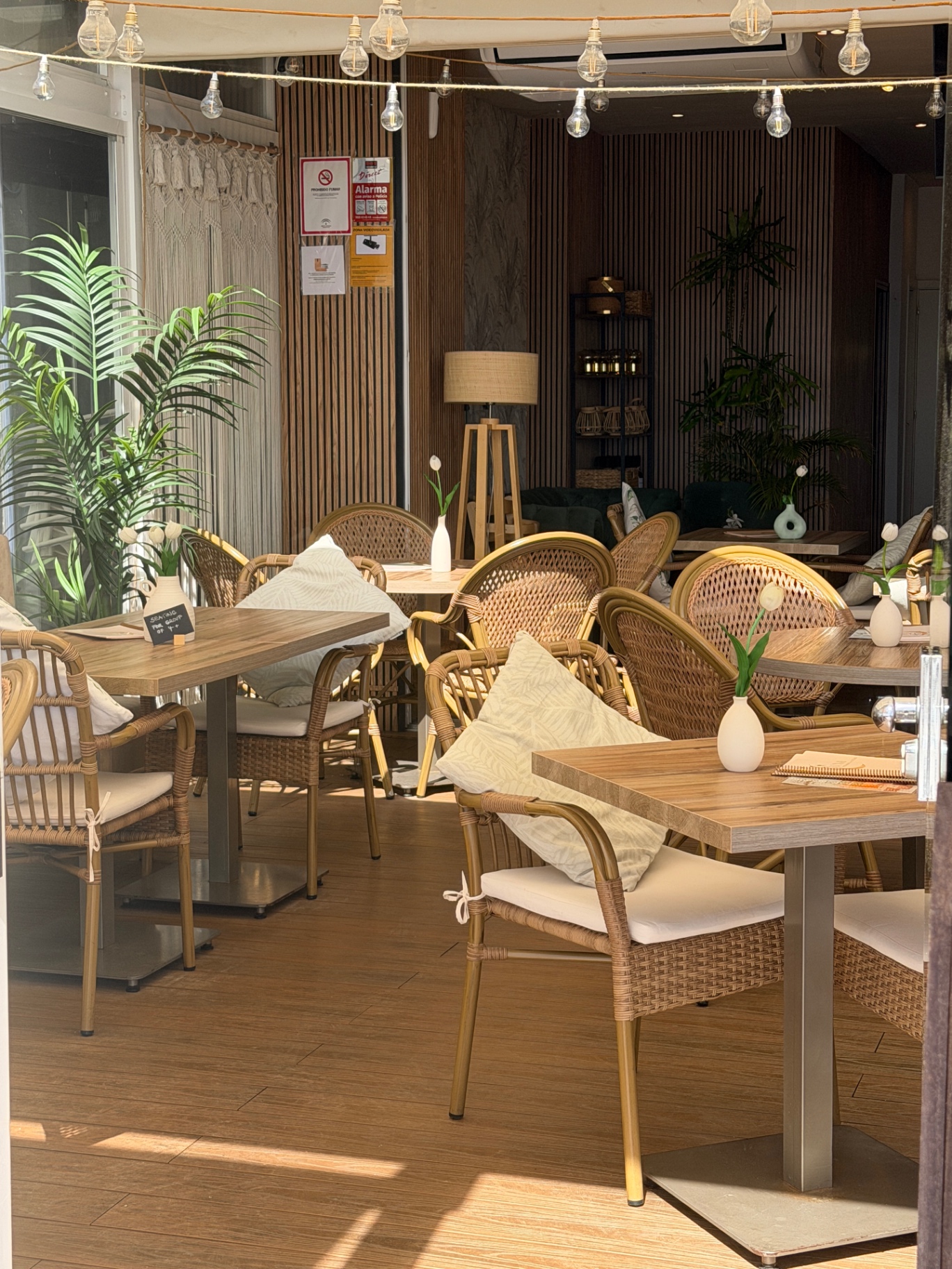 Luna Café - Bar – extra 3