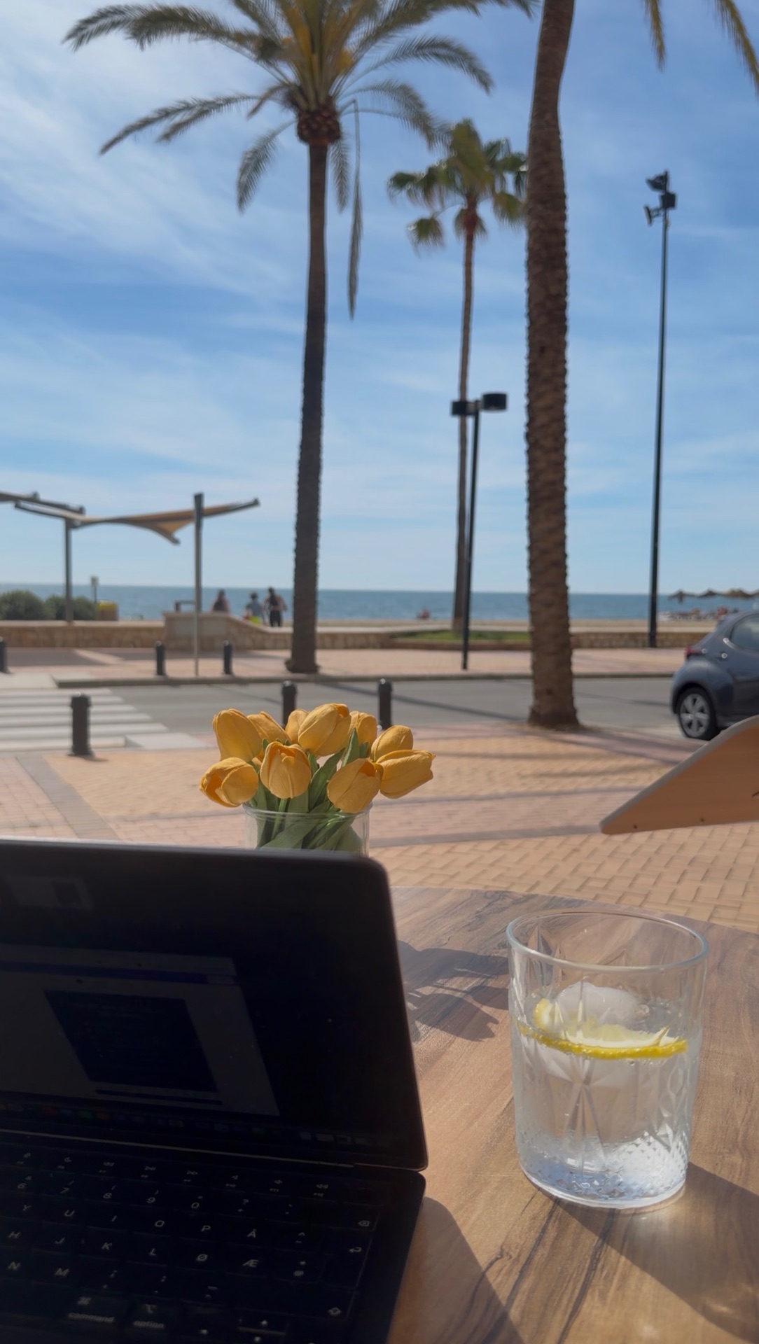 Luna Café - Bar – extra 4